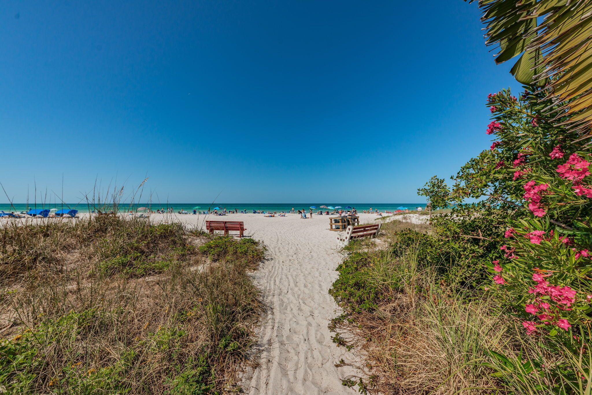 A sandy beach path leading to the ocean with beach chairs and umbrellas.