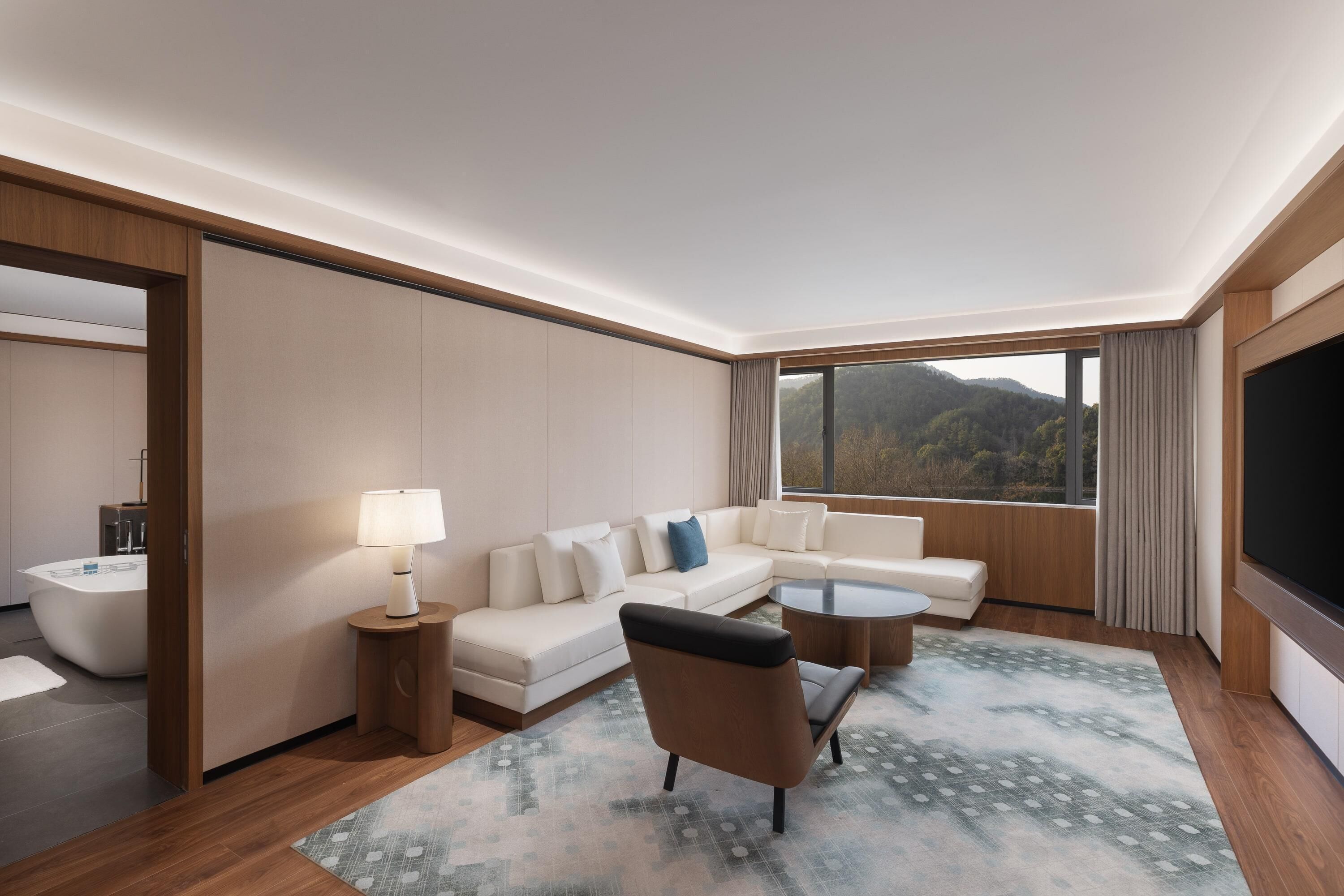 Suite, 1 letto king (View)
