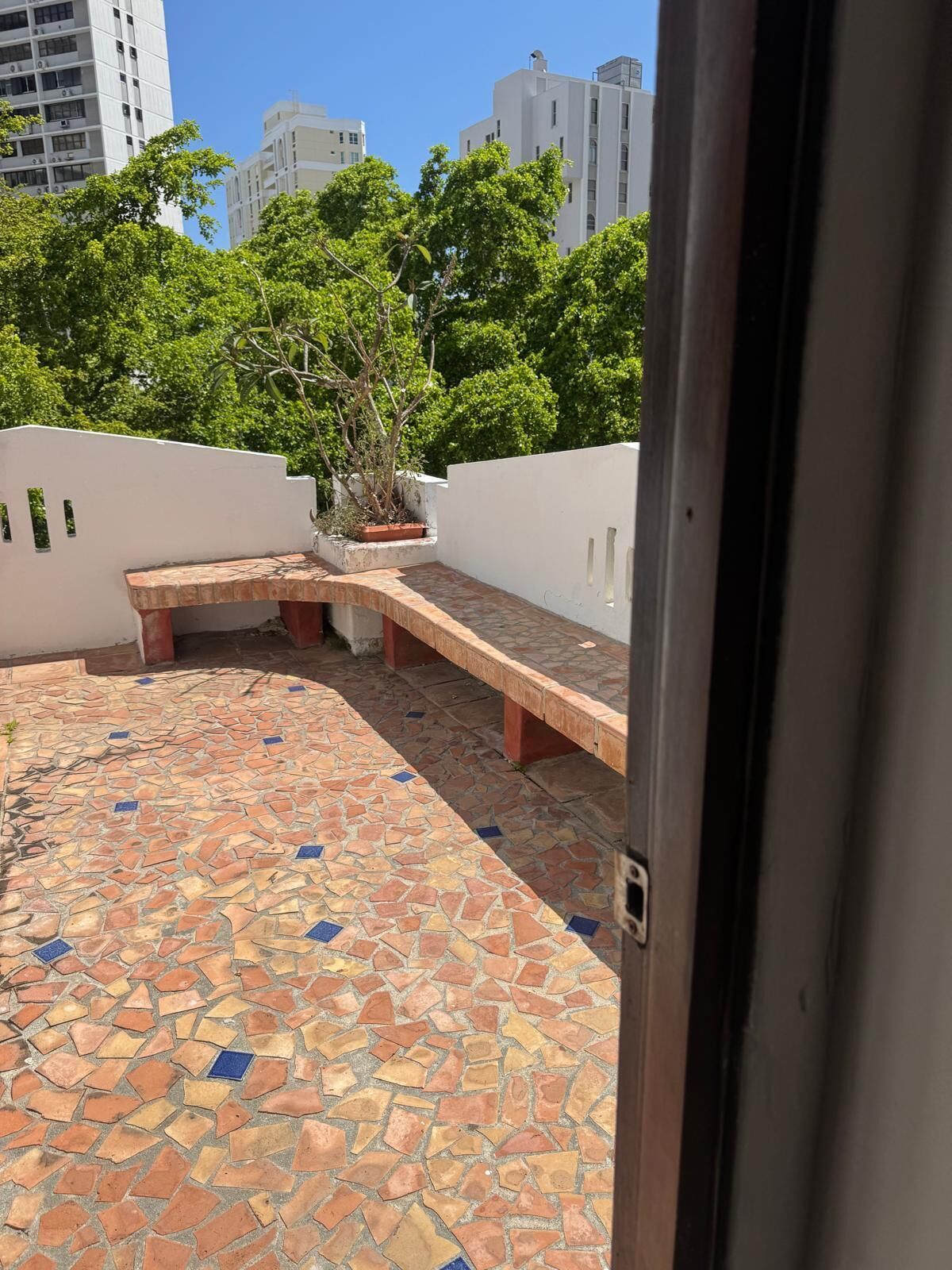 Una terraza en la azotea con piso de mosaicos, una zona de estar y una planta en maceta.