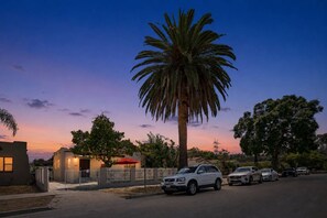 A residential street with a palm tree, parked cars, and houses.