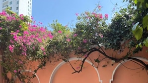 Ein Swimmingpool mit einer rosafarbenen Wand und weißen Bögen, umgeben von Topfpflanzen und blühenden Ranken.