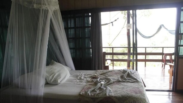 A bed with a canopy, a window with curtains, and a view of the outdoors. - Pacífic Corcovado Bumgalows - Deluxe Double or Twin Room with Ocean View (Agujitas (Drake))