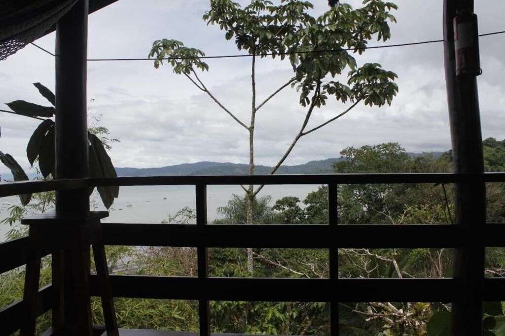 A view through a window with a metal grid, featuring a tree and a body of water in the background.