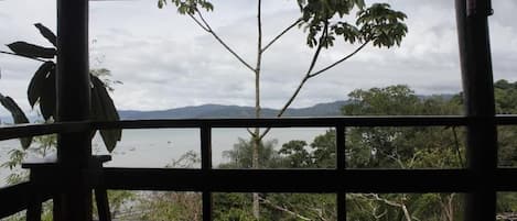 Blick durch ein Fenster mit Metallgitter, im Hintergrund ein Baum und ein Gewässer.