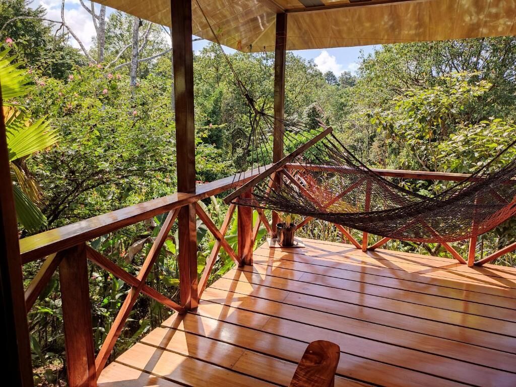 A wooden deck with a hammock and a view of dense greenery.