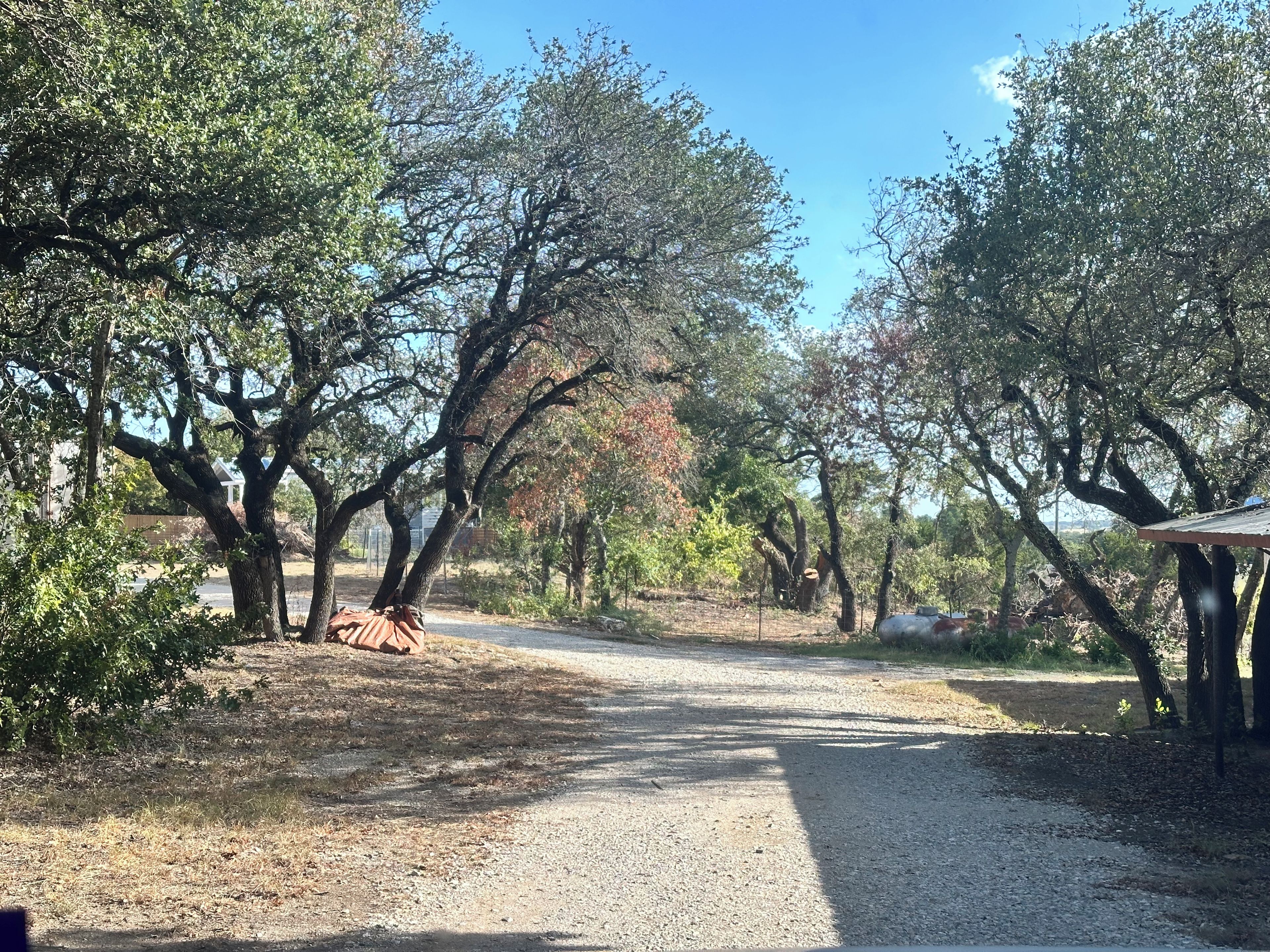 Un sendero de grava serpentea por un área boscosa con árboles y una pequeña construcción a la derecha.