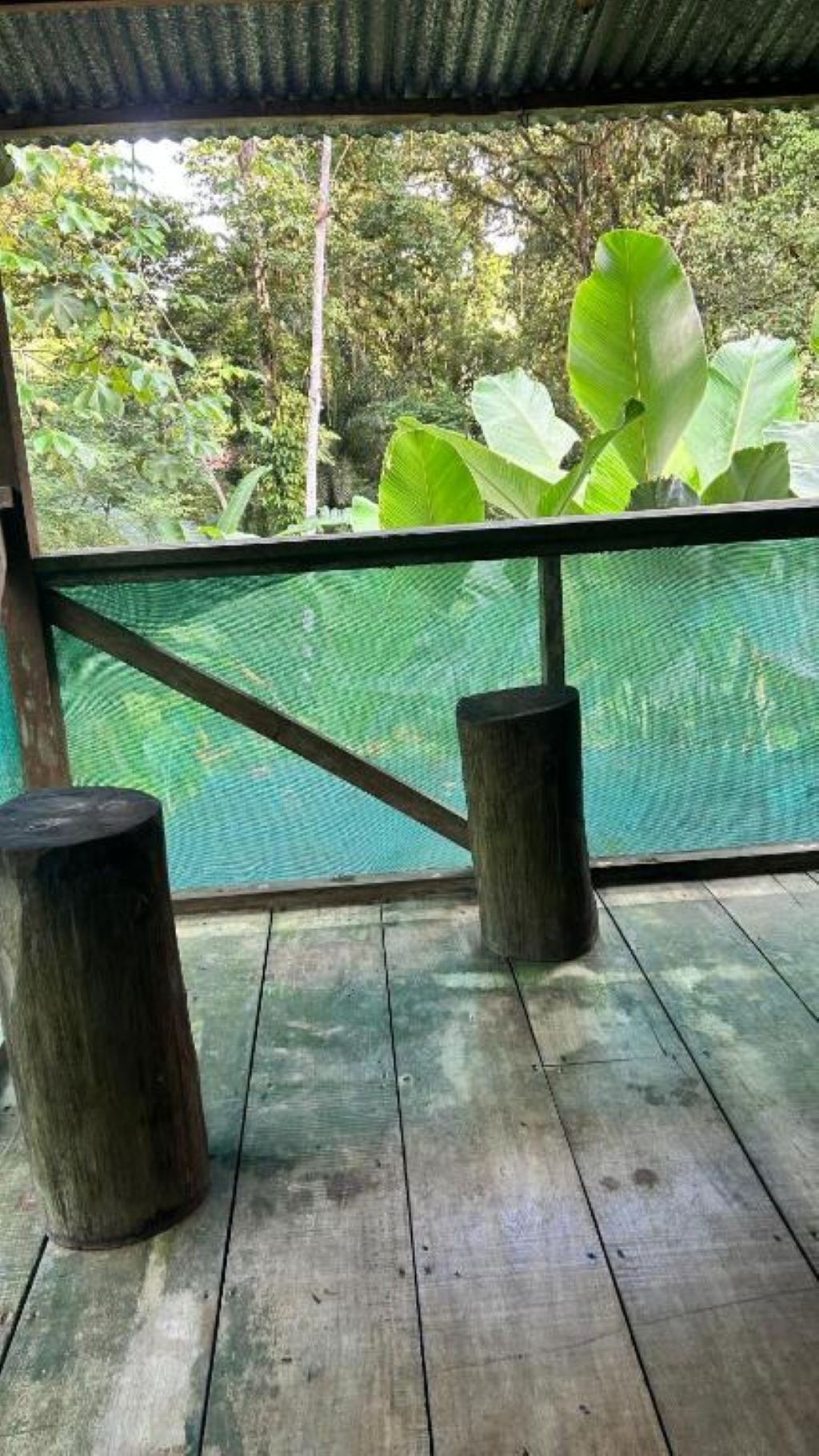 Una terraza de madera con barandilla de malla, dos postes de madera y vistas a vegetación exuberante.