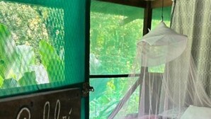 A bed with a mosquito net, a wooden floor, and a sign that reads 'Colibri'. - Río Agujitas Rainforest Eco Lodge - Habitación Doble Estándar (Agujitas (Drake))