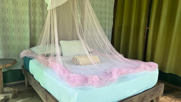 A bed with a mosquito net and a pink decorative border, a pillow, and a rolled towel. - Río Agujitas Rainforest Eco Lodge - Habitación Doble Estándar (Agujitas (Drake))