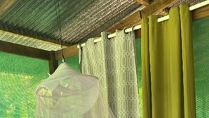 A bed with a mosquito net, wooden frame, and a view of greenery outside. - Río Agujitas Rainforest Eco Lodge - Habitación Doble Estándar (Agujitas (Drake))