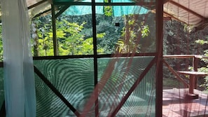 Habitación con vista a un bosque a través de una ventana de mosquitero.