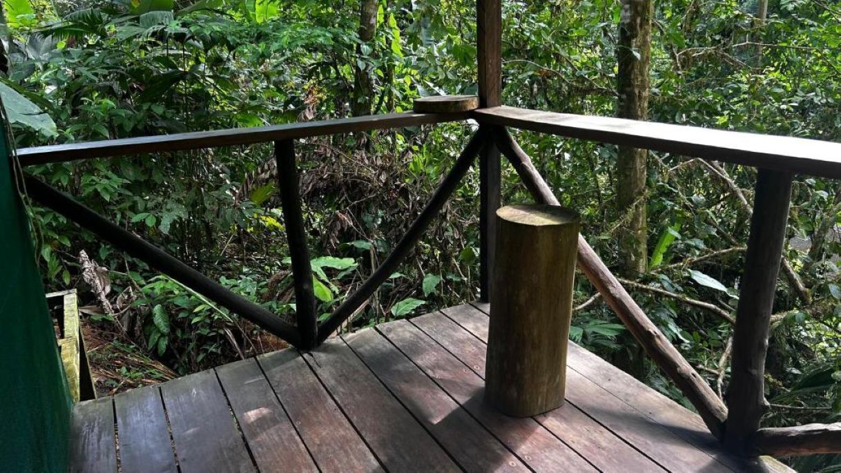 Una terraza de madera con barandilla metálica, rodeada de follaje denso.