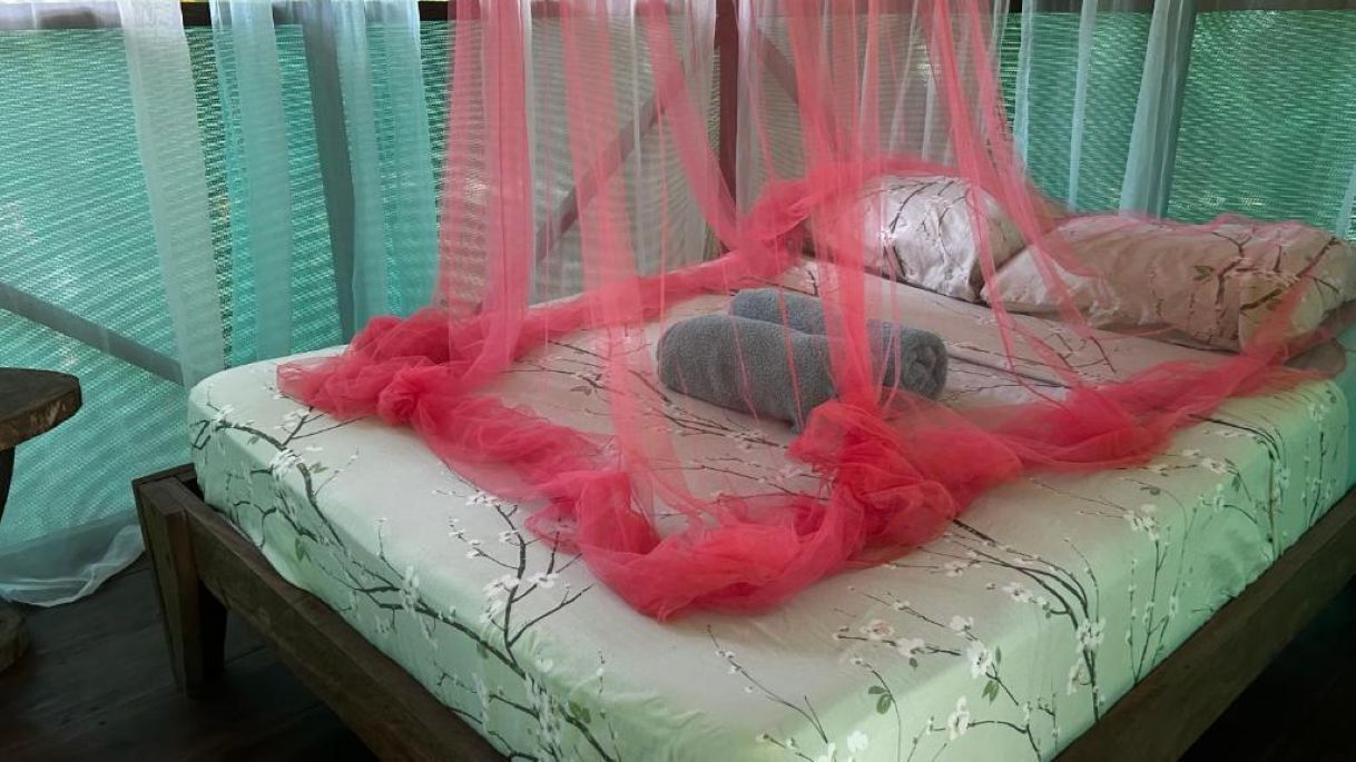 A bed with a canopy, pillows, and a wooden headboard.