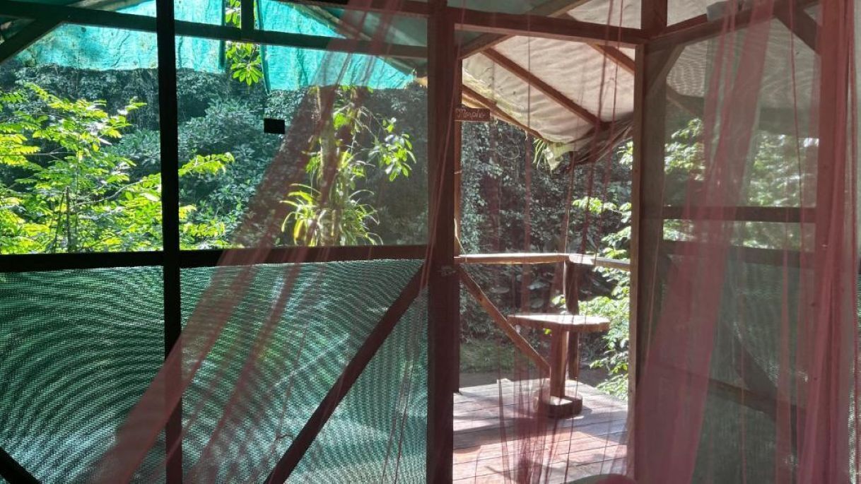 Una habitación con un ventanal grande que da a un jardín, un banco de madera y una mosquitera.