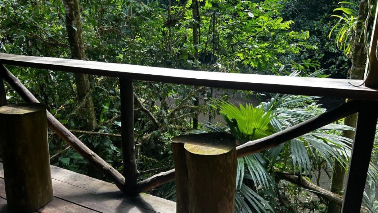 Une terrasse en bois avec une rambarde en métal, donnant sur une forêt dense et verdoyante.