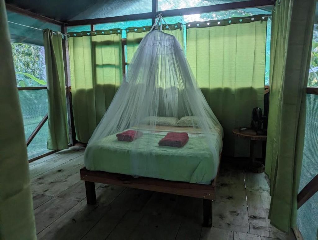 A bed with a mosquito net, a small table, and a window with curtains.