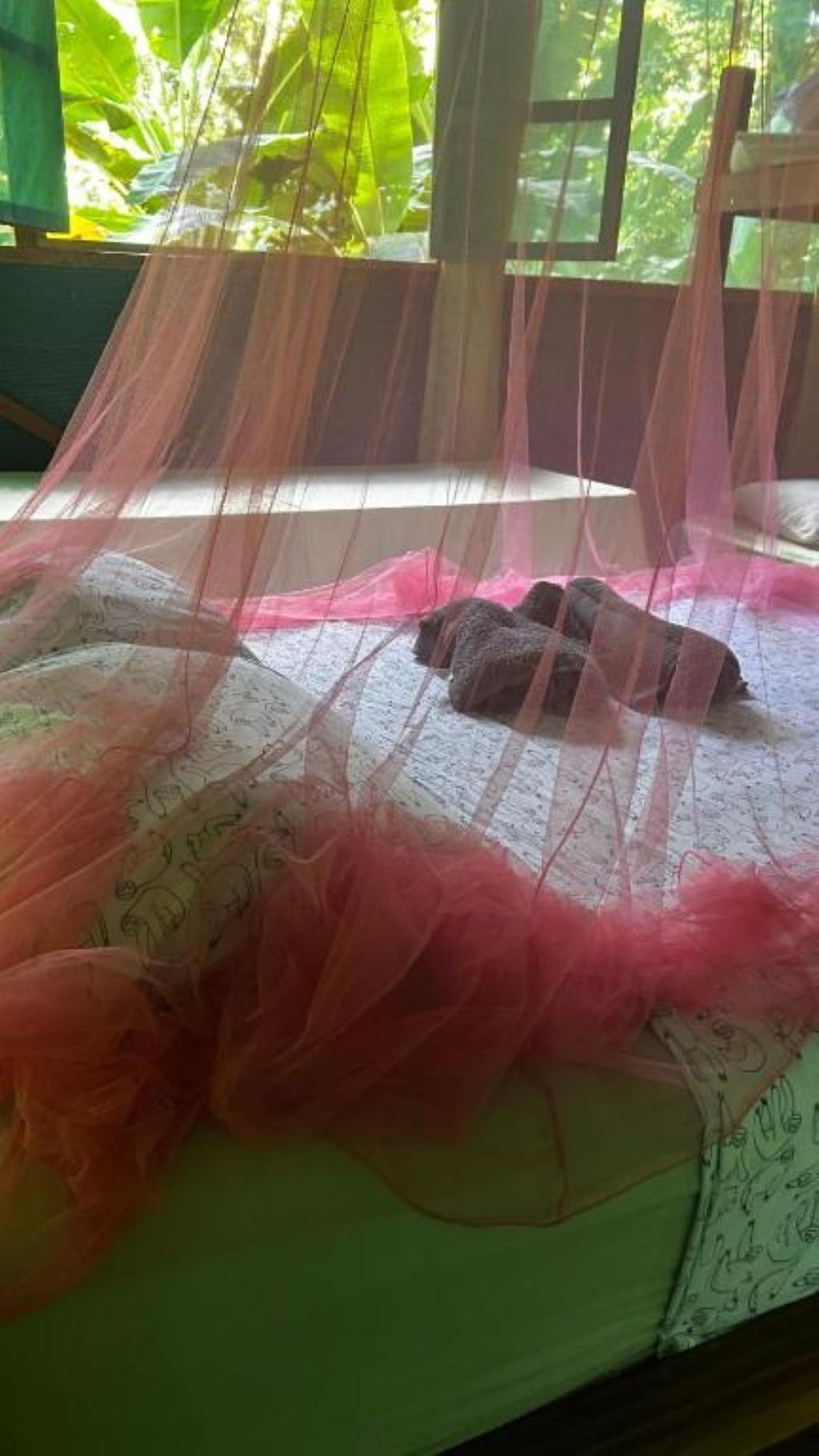 Una cama con dosel rosa, colcha estampada y ventana con vistas al verdor.