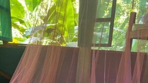 Una cama con dosel rosa, colcha estampada y ventana con vistas al verdor.