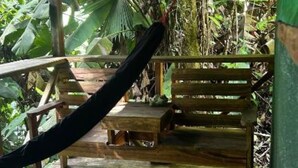 Una terraza de madera con una hamaca y un banco, rodeada de exuberante vegetación.