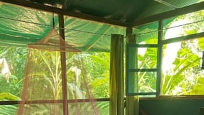 A wooden bed with a mosquito net, a bench, and a table in a room with a view of greenery. - Río Agujitas Rainforest Eco Lodge - Habitación Cuádruple Deluxe (Agujitas (Drake))