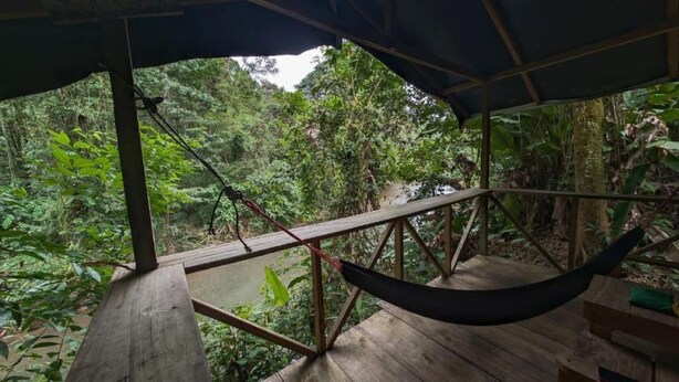 A wooden deck with a hammock, surrounded by dense forest. - Río Agujitas Rainforest Eco Lodge - Habitación Cuádruple Deluxe (Agujitas (Drake))