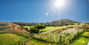 Property grounds - Bahia View (Mijas)