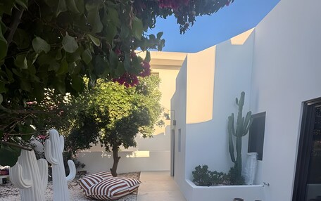 A modern outdoor patio with white walls, a cactus, and striped cushions.