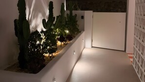 Un espace extérieur moderne avec un bac blanc contenant des cactus et d’autres plantes, un mur blanc et une structure de clôture aux motifs géométriques.