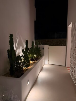 A modern outdoor space with a white planter containing cacti and other plants, a white wall, and a geometric fence structure.