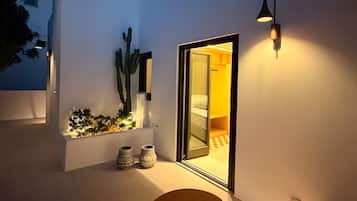 A modern outdoor space with a cactus, a potted plant, and a seating area.