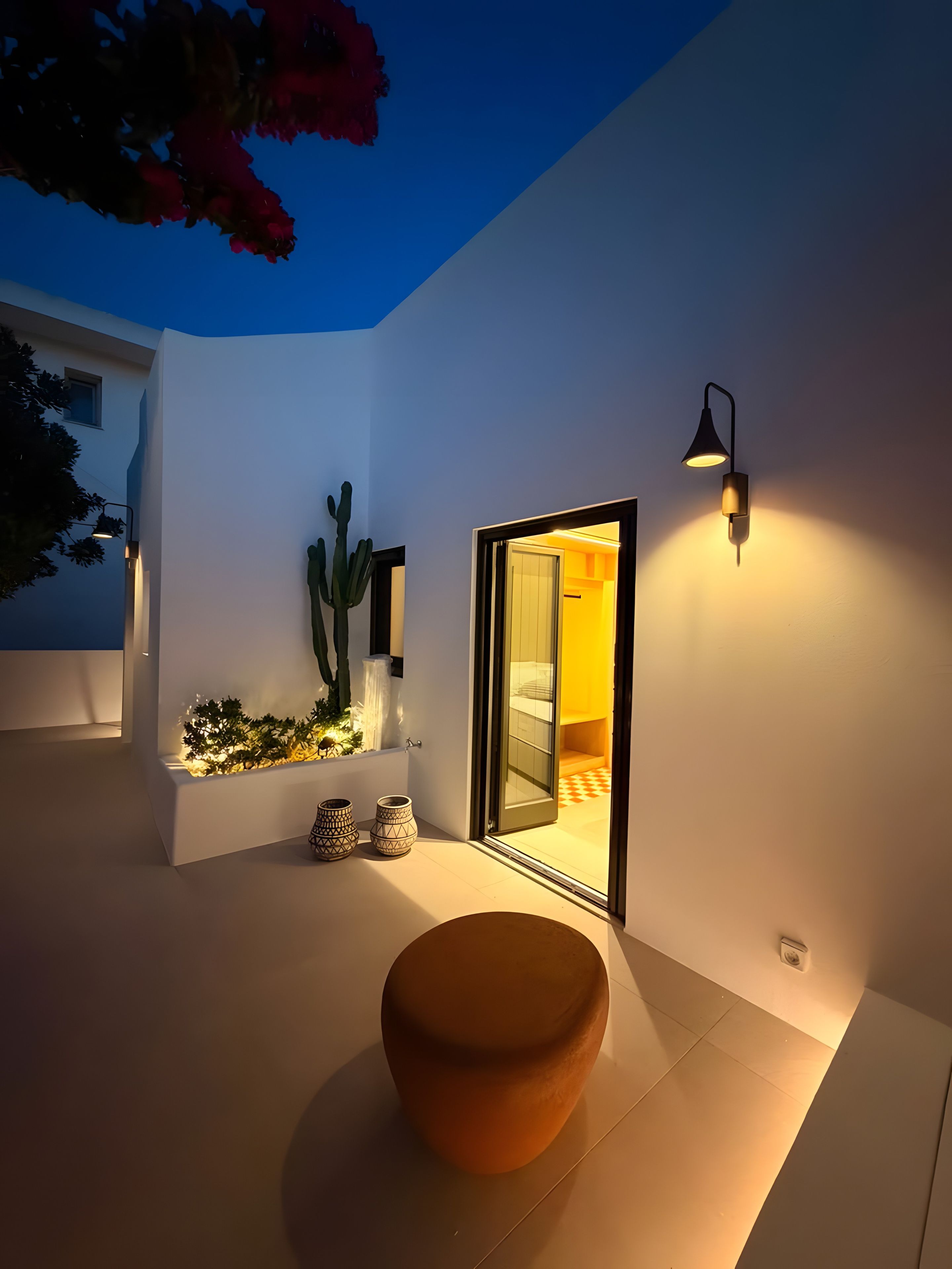 A modern outdoor space with a cactus, a potted plant, and a seating area.