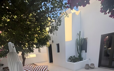 A modern outdoor seating area with striped cushions and a cactus plant.