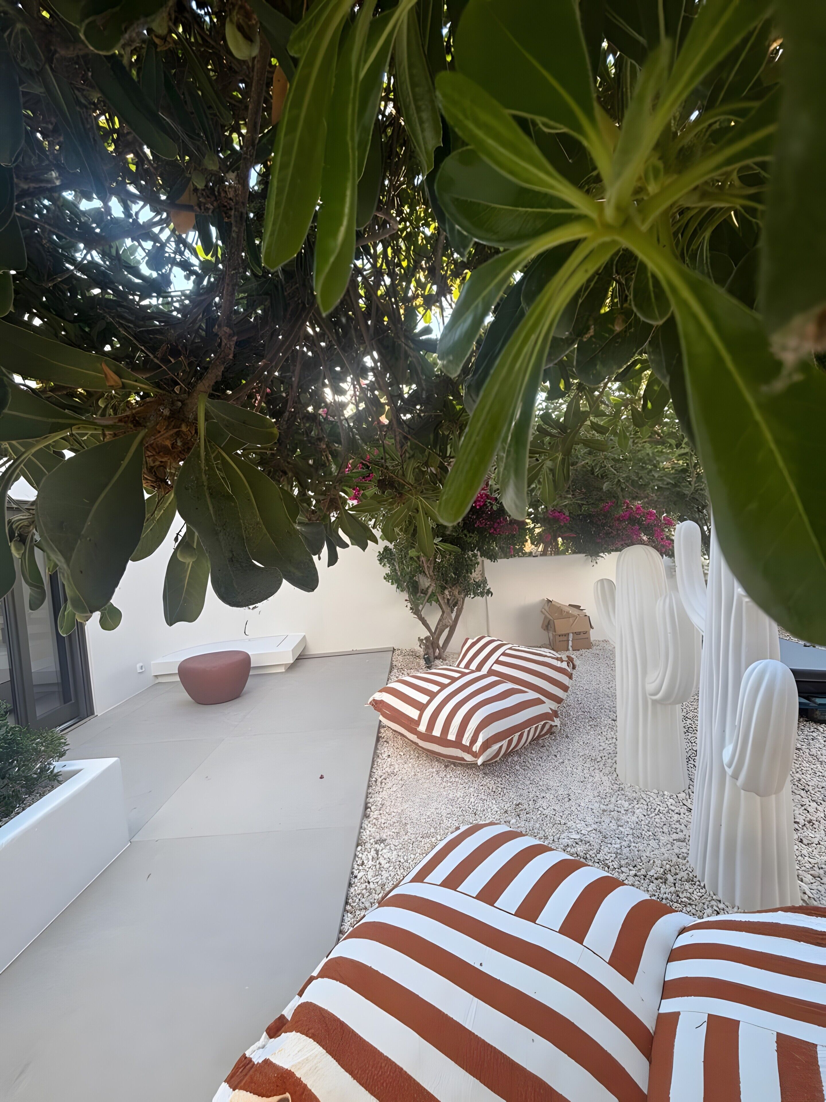 Terras