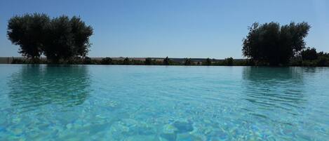 Una piscina cristalina con vistas al horizonte y árboles al fondo.