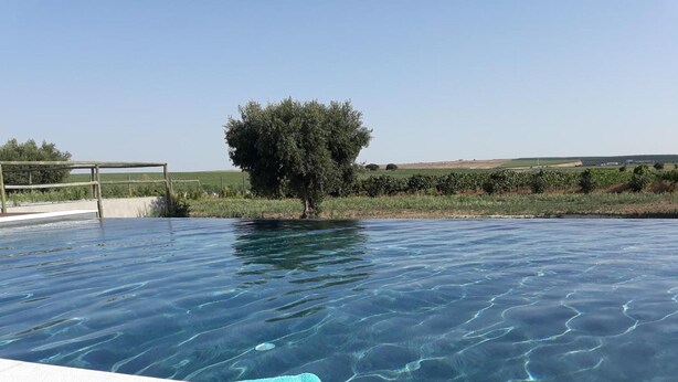 A clear swimming pool with a single blue towel on the edge. - Terras Agroturismo & Vinhos: Tranquility Among Vineyards for Up to 8 Guests (Beja)