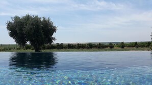 A clear swimming pool with a tree in the background. - Terras Agroturismo & Vinhos: Tranquility Among Vineyards for Up to 8 Guests (Beja)