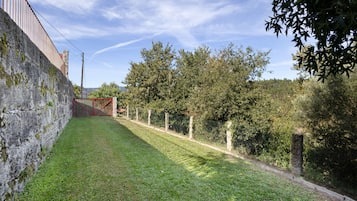 A grassy yard with a stone wall, a wooden fence, and trees.