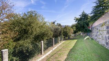 Un espace extérieur clos, avec un sentier herbeux, des arbres et un mur en pierre.