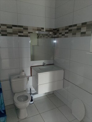 Un baño con inodoro, lavabo y espejo.