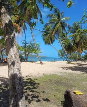 A beach with palm trees and a clear view of the ocean. - 🌴 Your little corner of paradise on the Caravelle Peninsula (La Trinité)