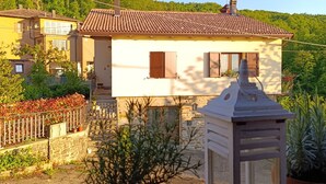 A house with a tiled roof, a stone wall, and a small garden with potted plants.