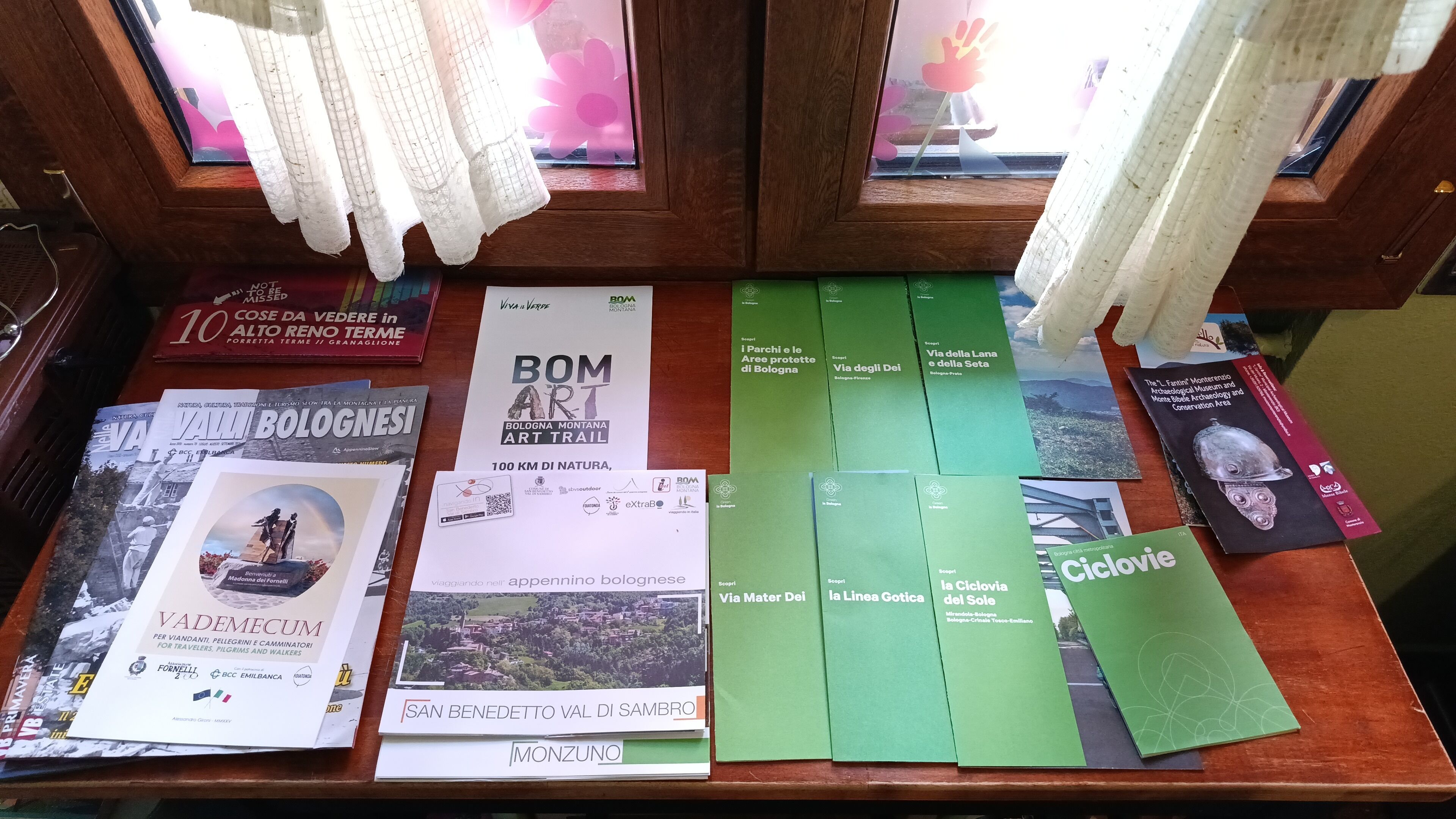 A display of travel brochures and guides on a wooden table with a window in the background.