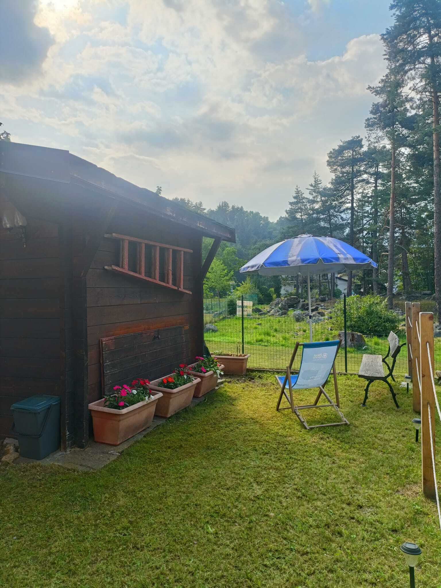 A wooden cabin with a fenced yard, a blue umbrella, and a chair.