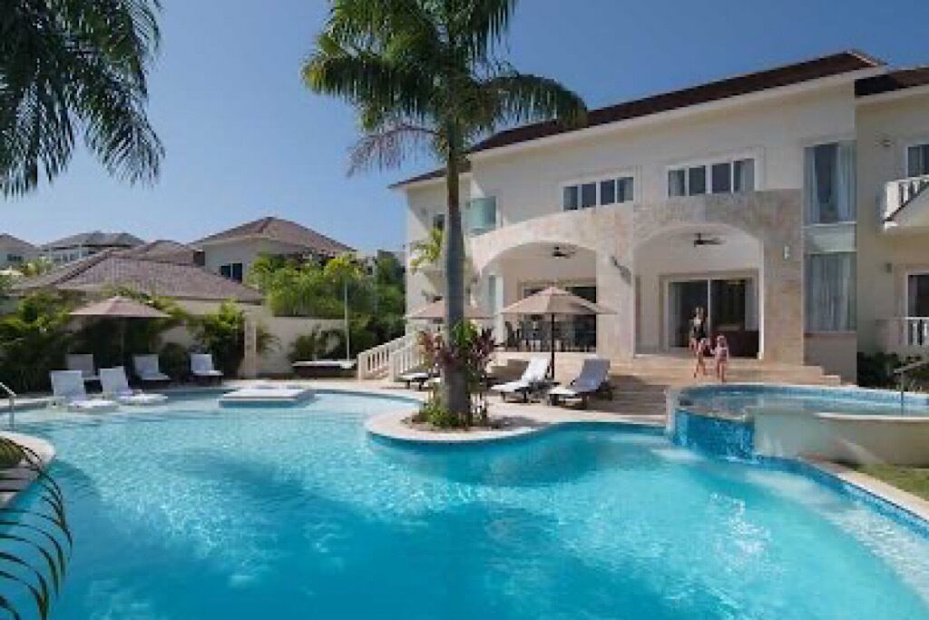 A swimming pool with lounge chairs and a palm tree.
