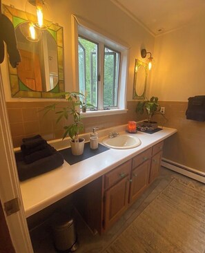 Bathroom - Catskill Mt House Ski Paradise (Round Top)