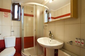 A bathroom with a toilet, a glass-enclosed shower, and a sink. - Villa 'Ilektra' in Marathiás (Marathiás)