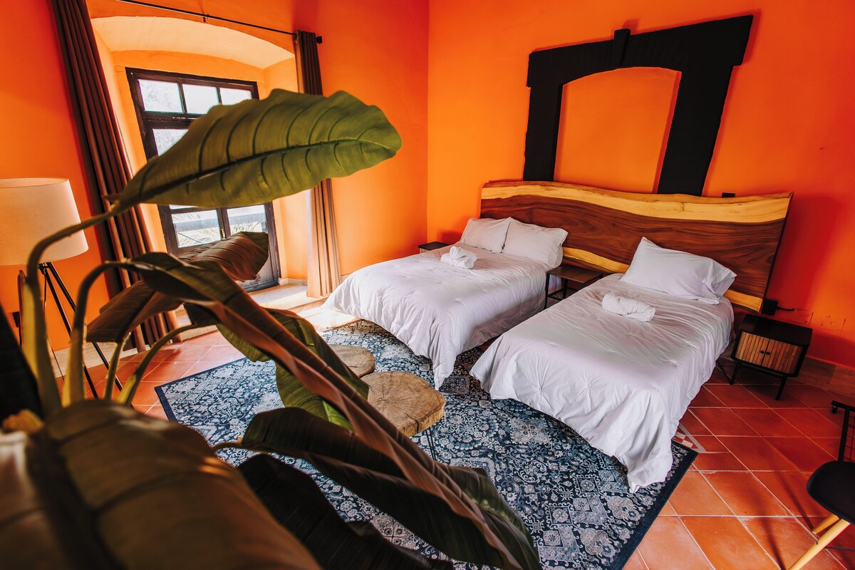 A hotel room with two beds, a large plant, and a view of the outdoors.
