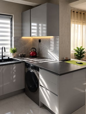 Una cocina moderna con lavadora incorporada, hervidor y pileta.