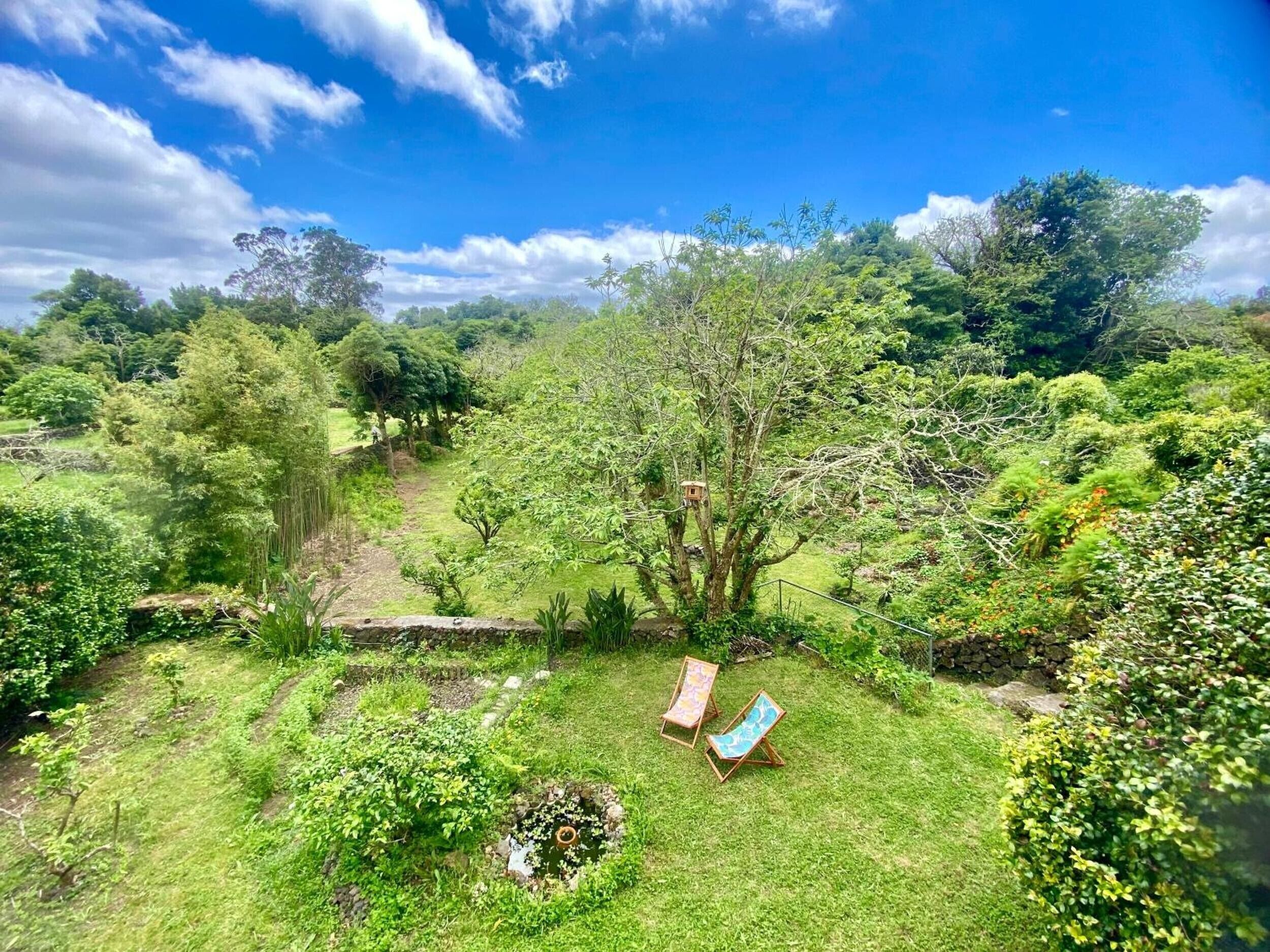 Un exuberante jardín con un estanque, dos sillones de descanso y una variedad de árboles y arbustos.