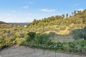 Ein Hügel mit Blick auf eine Küstenstadt und einen Weinberg.